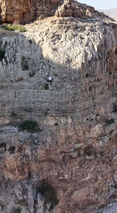 Yüzlerce metrede tehlikeli hasat! Kilosu 15 bin TL’den satılıyor 7
